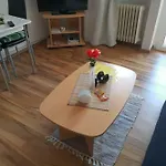 Altstadtperle